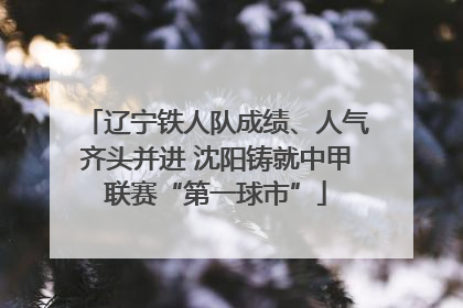 辽宁铁人队成绩、人气齐头并进 沈阳铸就中甲联赛“第一球市”