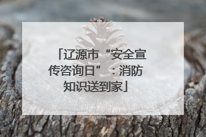 辽源市“安全宣传咨询日”：消防知识送到家