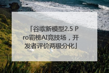 谷歌新模型2.5 Pro霸榜AI竞技场，开发者评价两极分化