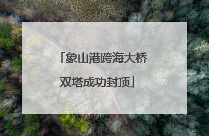 象山港跨海大桥双塔成功封顶