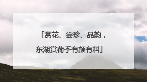 赏花、尝珍、品韵，东湖赏荷季有颜有料