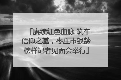 赓续红色血脉 筑牢信仰之基，枣庄市银龄榜样记者见面会举行