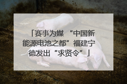 赛事为媒 “中国新能源电池之都”福建宁德发出“求贤令”