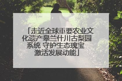走近全球重要农业文化遗产皋兰什川古梨园系统 守护生态瑰宝 激活发展动能