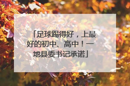 足球踢得好，上最好的初中、高中！一地县委书记承诺