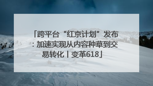 跨平台“红京计划”发布：加速实现从内容种草到交易转化丨变革618