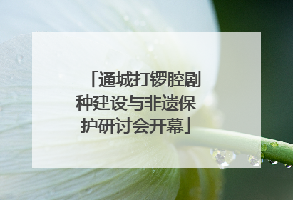 通城打锣腔剧种建设与非遗保护研讨会开幕
