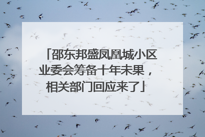 邵东邦盛凤凰城小区业委会筹备十年未果，相关部门回应来了