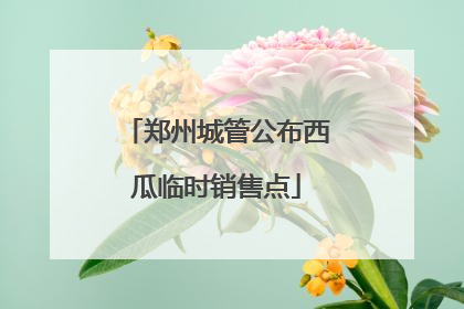 郑州城管公布西瓜临时销售点