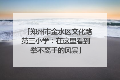郑州市金水区文化路第三小学：在这里看到拳不离手的风景