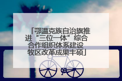 鄂温克族自治旗推进“三位一体”综合合作组织体系建设 牧区改革成果丰硕