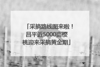 采摘路线图来啦！昌平近5000亩樱桃迎来采摘黄金期