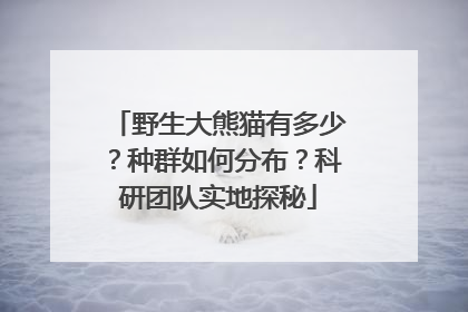 野生大熊猫有多少？种群如何分布？科研团队实地探秘