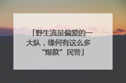 野生流量偏爱的一大队，缘何有这么多“爆款”民警