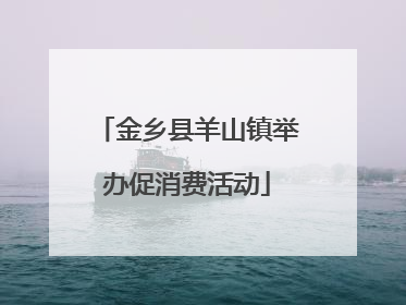金乡县羊山镇举办促消费活动