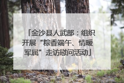 金沙县人武部：组织开展“粽香端午、情暖军属”走访慰问活动