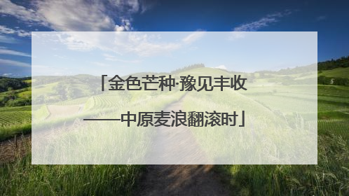 金色芒种·豫见丰收——中原麦浪翻滚时
