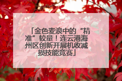 金色麦浪中的“精准”较量！连云港海州区创新开展机收减损技能竞赛