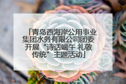 青岛西海岸公用事业集团水务有限公司团委开展“诗话端午 礼敬传统”主题活动