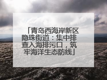 青岛西海岸新区隐珠街道：集中排查入海排污口，筑牢海洋生态防线