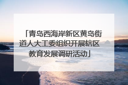 青岛西海岸新区黄岛街道人大工委组织开展辖区教育发展调研活动