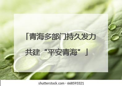 青海多部门持久发力共建“平安青海”
