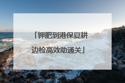 钾肥到港保夏耕 边检高效助通关