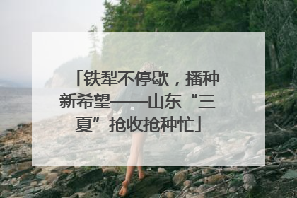 铁犁不停歇，播种新希望——山东“三夏”抢收抢种忙