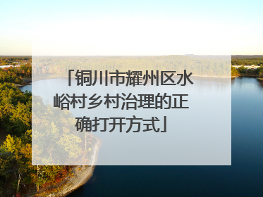 铜川市耀州区水峪村乡村治理的正确打开方式