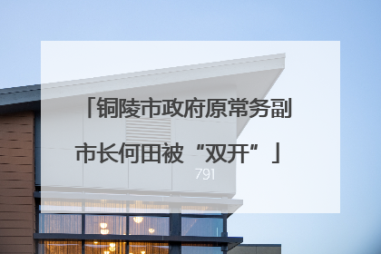 铜陵市政府原常务副市长何田被“双开”