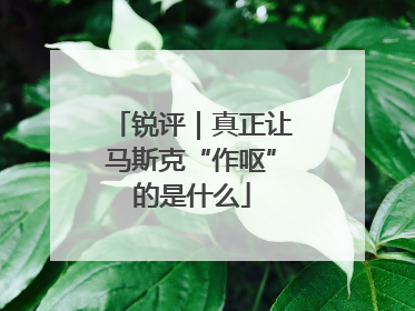 锐评｜真正让马斯克“作呕”的是什么