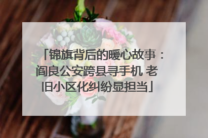 锦旗背后的暖心故事：阎良公安跨县寻手机 老旧小区化纠纷显担当