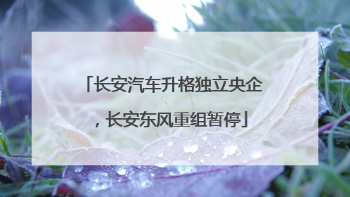 长安汽车升格独立央企，长安东风重组暂停