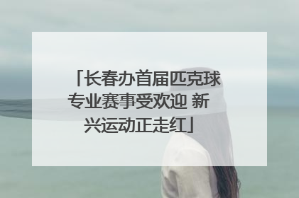 长春办首届匹克球专业赛事受欢迎 新兴运动正走红