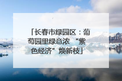 长春市绿园区：葡萄园里绿意浓 “紫色经济”焕新枝