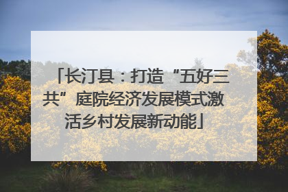 长汀县：打造“五好三共”庭院经济发展模式激活乡村发展新动能