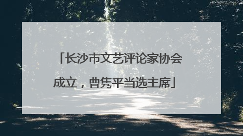 长沙市文艺评论家协会成立，曹隽平当选主席