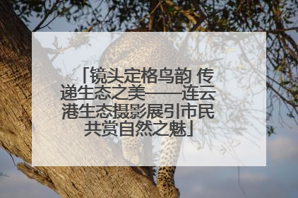 镜头定格鸟韵 传递生态之美——连云港生态摄影展引市民共赏自然之魅