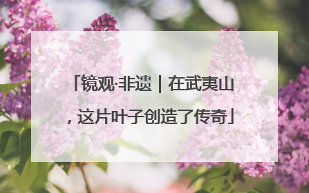 镜观·非遗｜在武夷山，这片叶子创造了传奇
