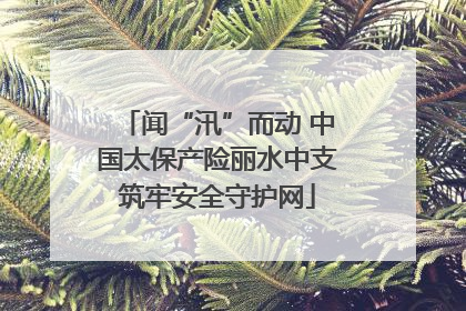 闻“汛”而动 中国太保产险丽水中支筑牢安全守护网
