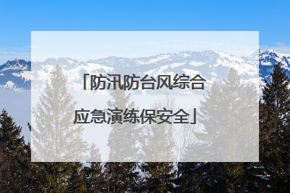 防汛防台风综合应急演练保安全