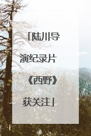 陆川导演纪录片《西野》获关注