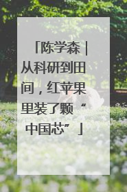 陈学森｜从科研到田间，红苹果里装了颗“中国芯”