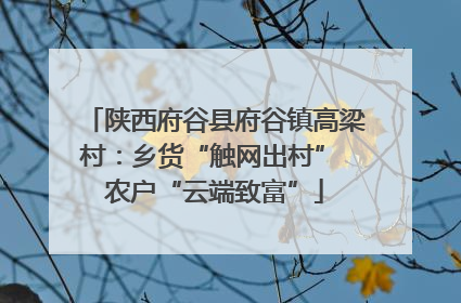 陕西府谷县府谷镇高梁村：乡货“触网出村” 农户“云端致富”