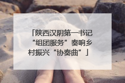 陕西汉阴第一书记“组团服务”奏响乡村振兴“协奏曲”
