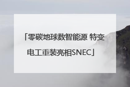 零碳地球数智能源 特变电工重装亮相SNEC