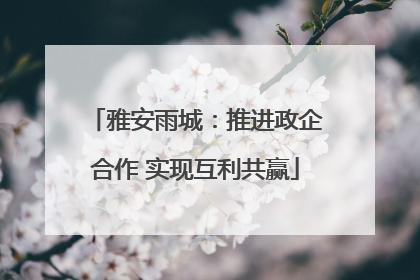 雅安雨城：推进政企合作 实现互利共赢