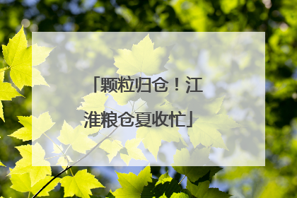 颗粒归仓！江淮粮仓夏收忙