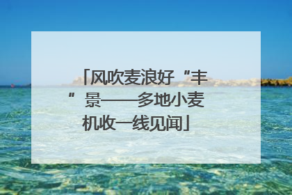 风吹麦浪好“丰”景——多地小麦机收一线见闻