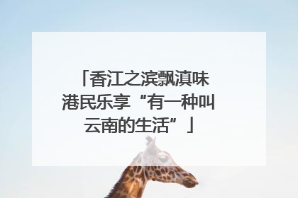 香江之滨飘滇味 港民乐享“有一种叫云南的生活”